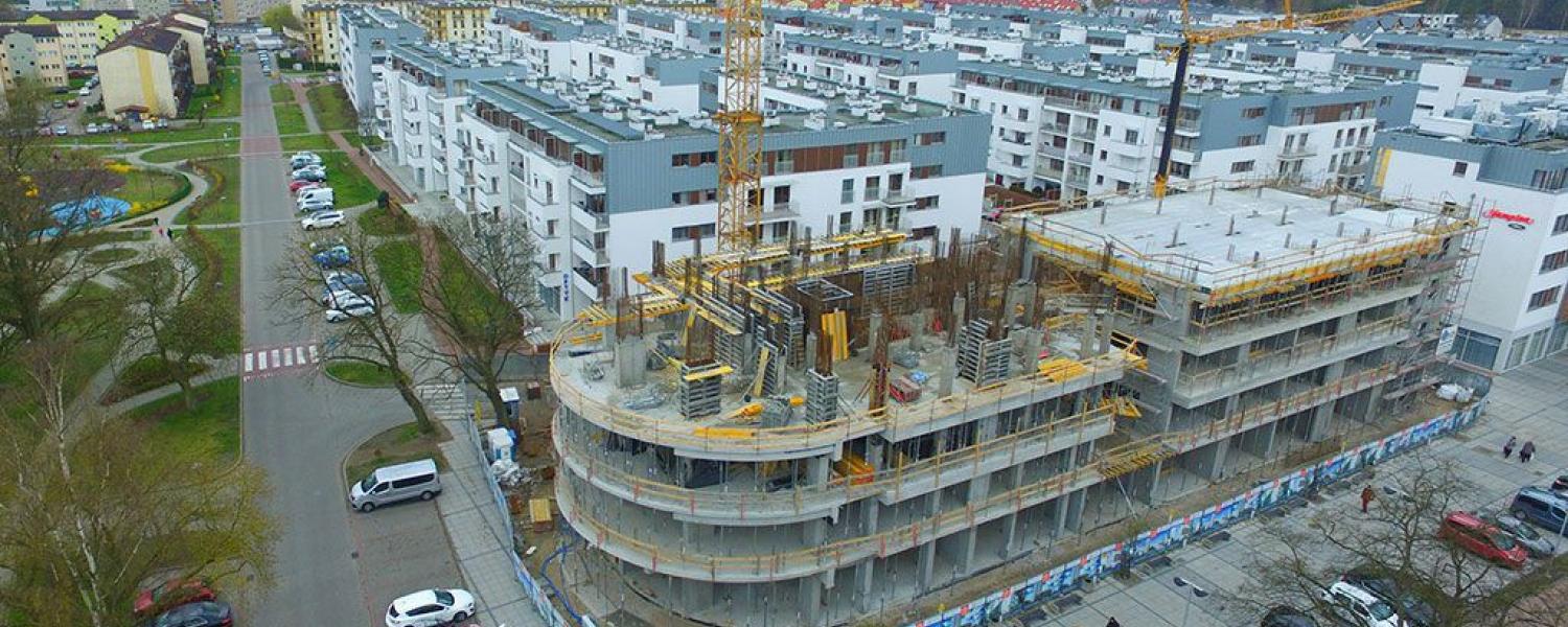 platan Miniaturka